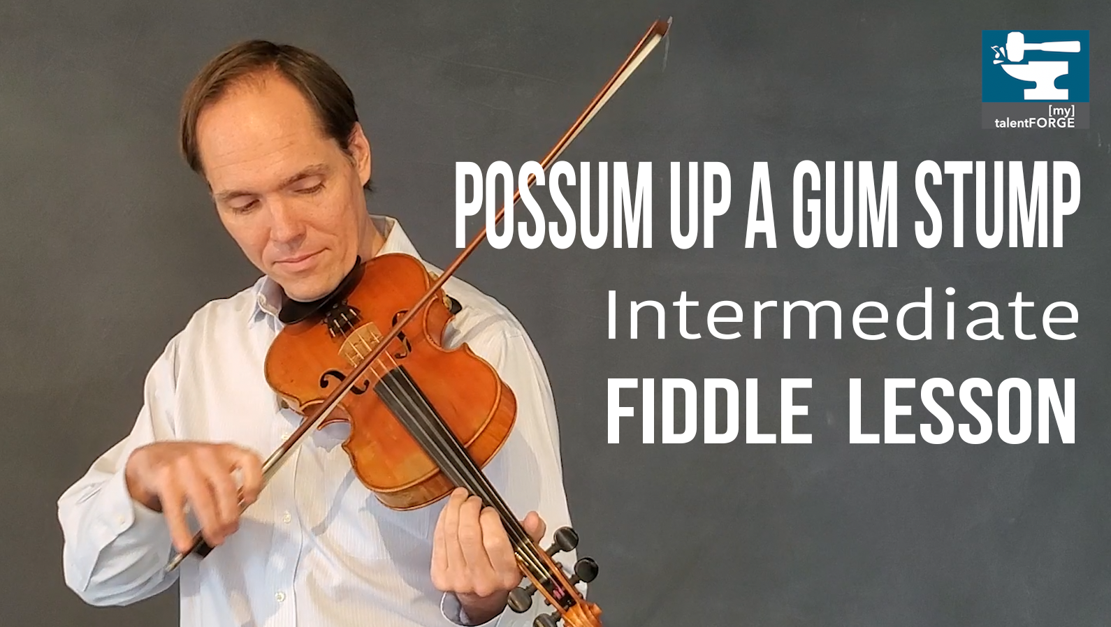 Possum Up a Gum Stump Intermediate [my] Talent Expert